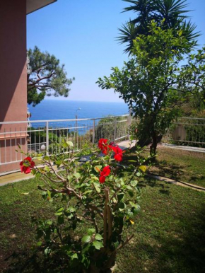 Punta Sole